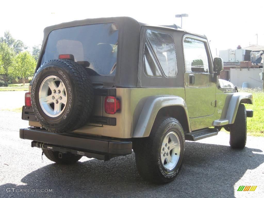 2004 Wrangler Sahara 4x4 - Light Khaki Metallic / Khaki photo #8