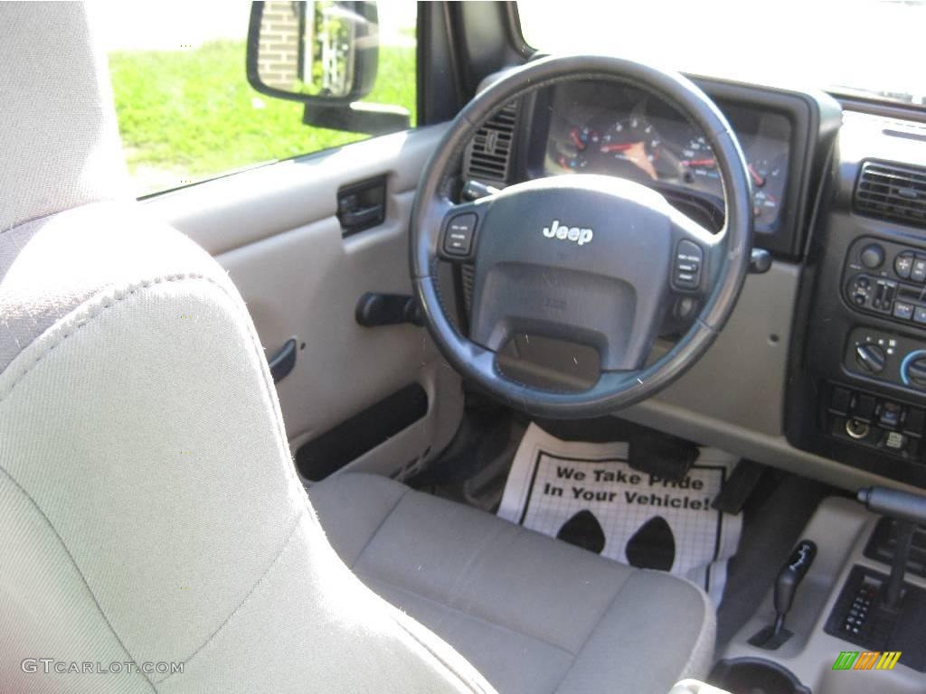 2004 Wrangler Sahara 4x4 - Light Khaki Metallic / Khaki photo #10