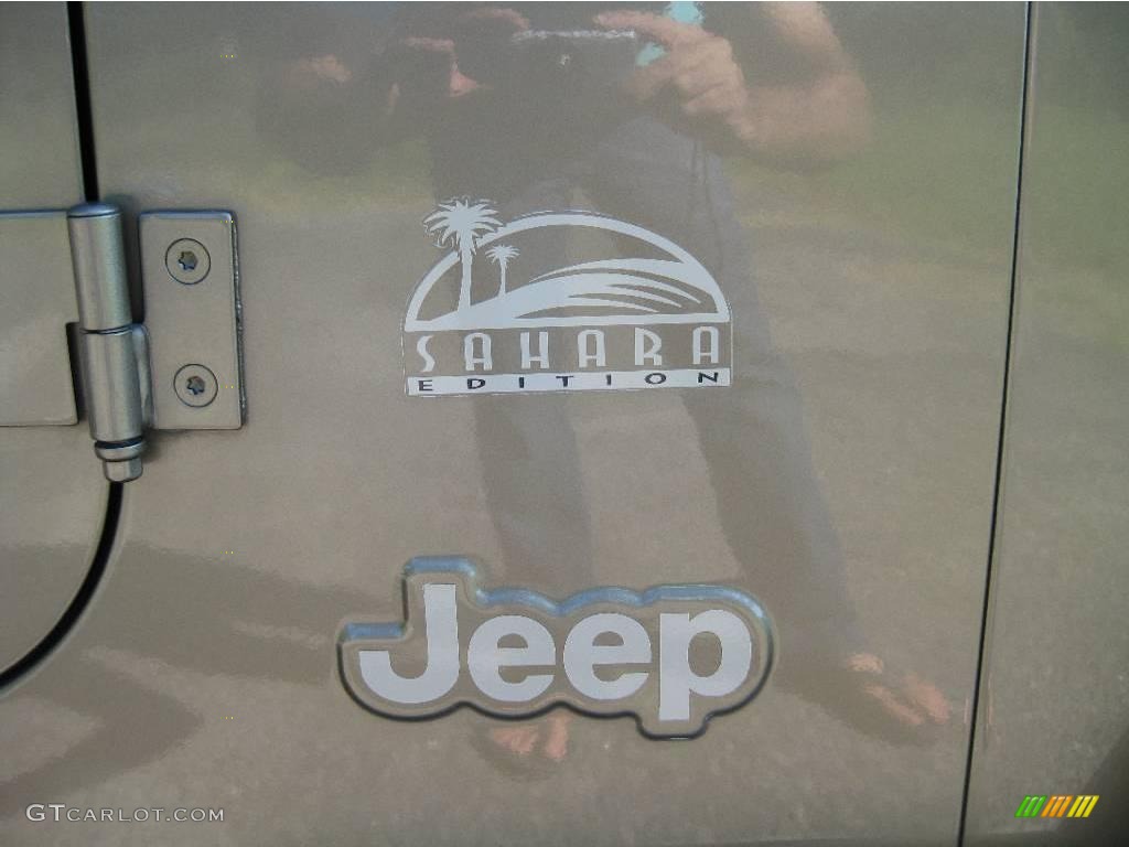 2004 Wrangler Sahara 4x4 - Light Khaki Metallic / Khaki photo #21