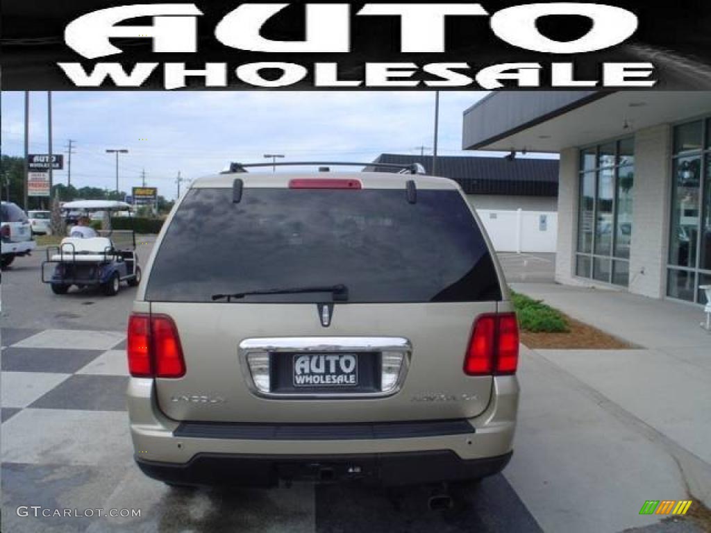 2005 Navigator Luxury 4x4 - Light French Silk Metallic / Camel photo #3