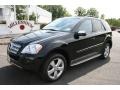 Black - ML 350 4Matic Photo No. 1