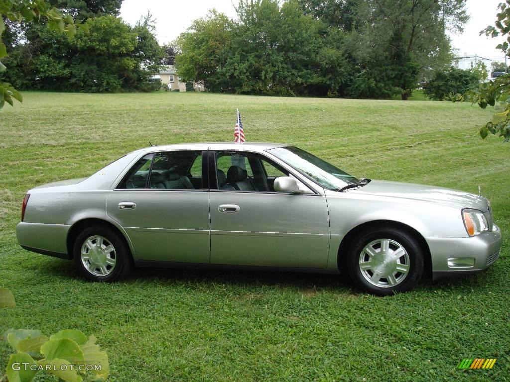 2005 DeVille Sedan - Light Platinum / Dark Gray photo #2