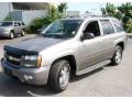Graystone Metallic - TrailBlazer LS 4x4 Photo No. 1