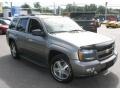 Graystone Metallic - TrailBlazer LS 4x4 Photo No. 3