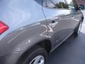 2005 Platinum Metallic Nissan Murano SL AWD  photo #6