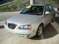 Sterling Metallic - Elantra GLS Sedan Photo No. 5
