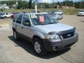 2005 Silver Metallic Ford Escape XLT V6 4WD  photo #6