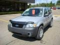 2005 Silver Metallic Ford Escape XLT V6 4WD  photo #11