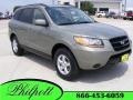 2008 Natural Khaki Green Hyundai Santa Fe GLS  photo #1