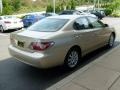 Mystic Gold Metallic - ES 300 Photo No. 5