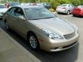 Mystic Gold Metallic - ES 300 Photo No. 6