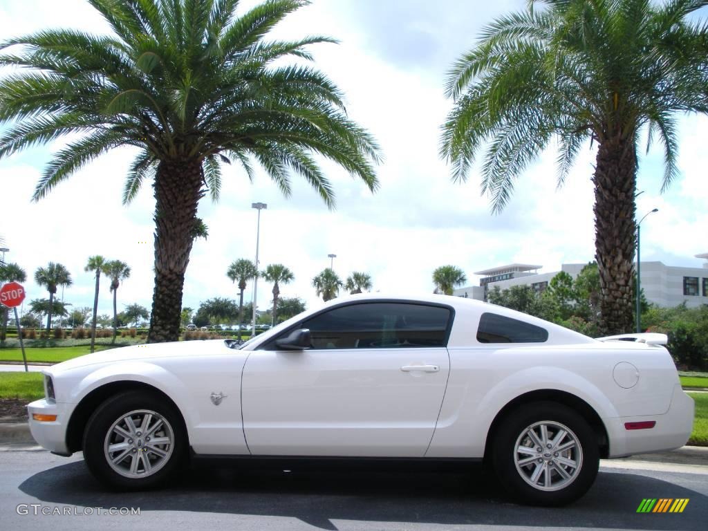 2009 Mustang V6 Coupe - Performance White / Light Graphite photo #1