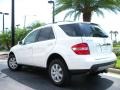 Alabaster White - ML 350 4Matic Photo No. 8