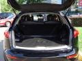 Black Obsidian - FX 35 AWD Photo No. 21