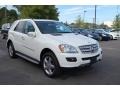 Alabaster White - ML 350 4Matic Photo No. 1