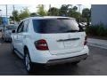 Alabaster White - ML 350 4Matic Photo No. 18