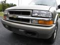 2001 Light Pewter Metallic Chevrolet Blazer LS 4x4  photo #18