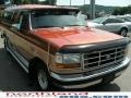 Light Santa Fe Pearl Metallic - F150 XLT Regular Cab Photo No. 4