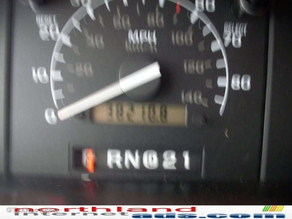 1995 F150 XLT Regular Cab - Light Santa Fe Pearl Metallic / Beige photo #20
