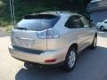 2004 Savannah Beige Metallic Lexus RX 330 AWD  photo #2