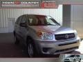 Titanium Metallic - RAV4  Photo No. 1