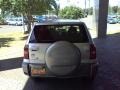 Titanium Metallic - RAV4  Photo No. 4