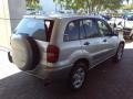 Titanium Metallic - RAV4  Photo No. 16