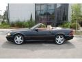 Black - SL 500 Roadster Photo No. 4