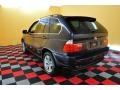 2006 Toledo Blue Metallic BMW X5 4.4i  photo #22