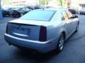 2005 Light Platinum Cadillac STS V6  photo #5