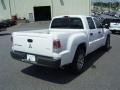 Arctic White - Raider LS Double Cab Photo No. 7