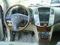 Savannah Beige Metallic - RX 330 Photo No. 38