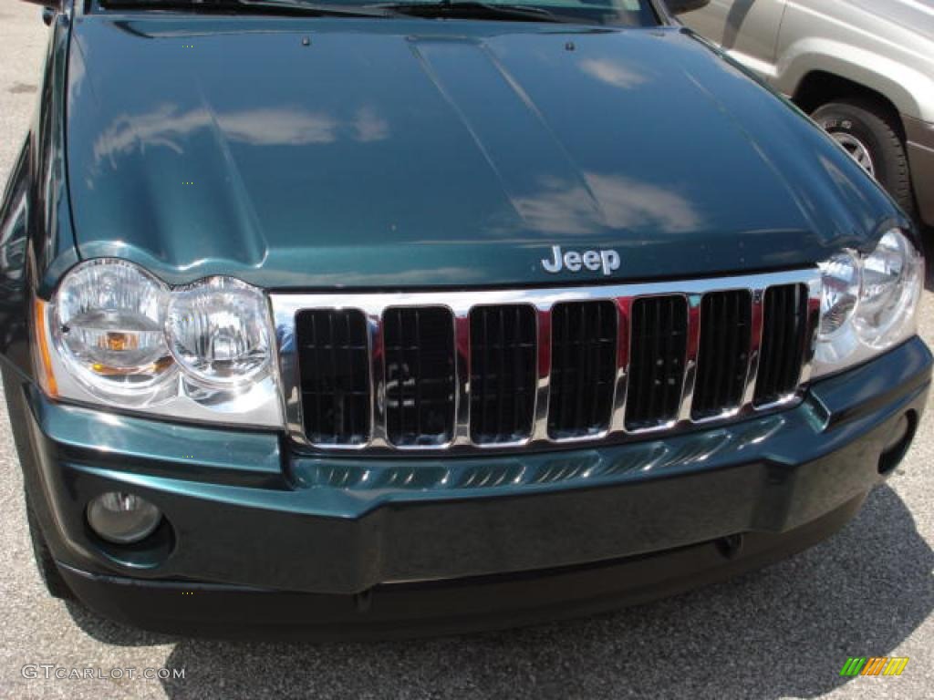2005 Grand Cherokee Limited 4x4 - Deep Beryl Green Pearl / Medium Slate Gray photo #4