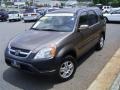 Mojave Mist Metallic - CR-V EX 4WD Photo No. 1