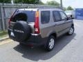 Mojave Mist Metallic - CR-V EX 4WD Photo No. 7