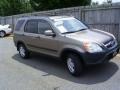 Mojave Mist Metallic - CR-V EX 4WD Photo No. 11