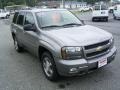 Graystone Metallic - TrailBlazer LT Photo No. 5