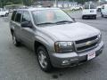 2009 Graystone Metallic Chevrolet TrailBlazer LT  photo #5