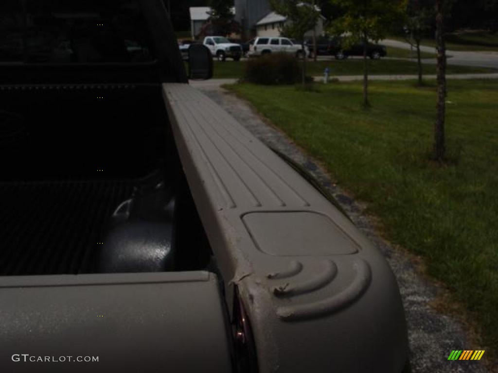 2004 F350 Super Duty King Ranch Crew Cab 4x4 Dually - Chestnut Brown Metallic / Castano Brown Leather photo #14