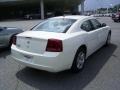 Stone White - Charger SE Photo No. 3