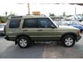 2001 Veinna Green Land Rover Discovery SE7  photo #9