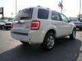 2010 White Suede Ford Escape Limited V6  photo #3