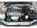 1996 Cashmere Beige Metallic Toyota Corolla DX  photo #23