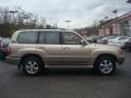 2003 Sonora Gold Pearl Toyota Land Cruiser   photo #5