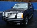 2005 Black Raven Cadillac Escalade ESV AWD  photo #8