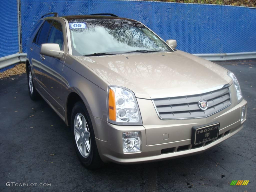 2005 Sand Storm Cadillac Srx V6 1755449 Photo 6