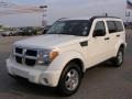 Stone White - Nitro SE 4x4 Photo No. 7