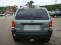 2007 Titanium Green Metallic Ford Escape XLT V6 4WD  photo #3