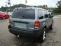 2007 Titanium Green Metallic Ford Escape XLT V6 4WD  photo #4