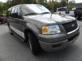 2003 Dark Shadow Grey Metallic Ford Expedition XLT  photo #1